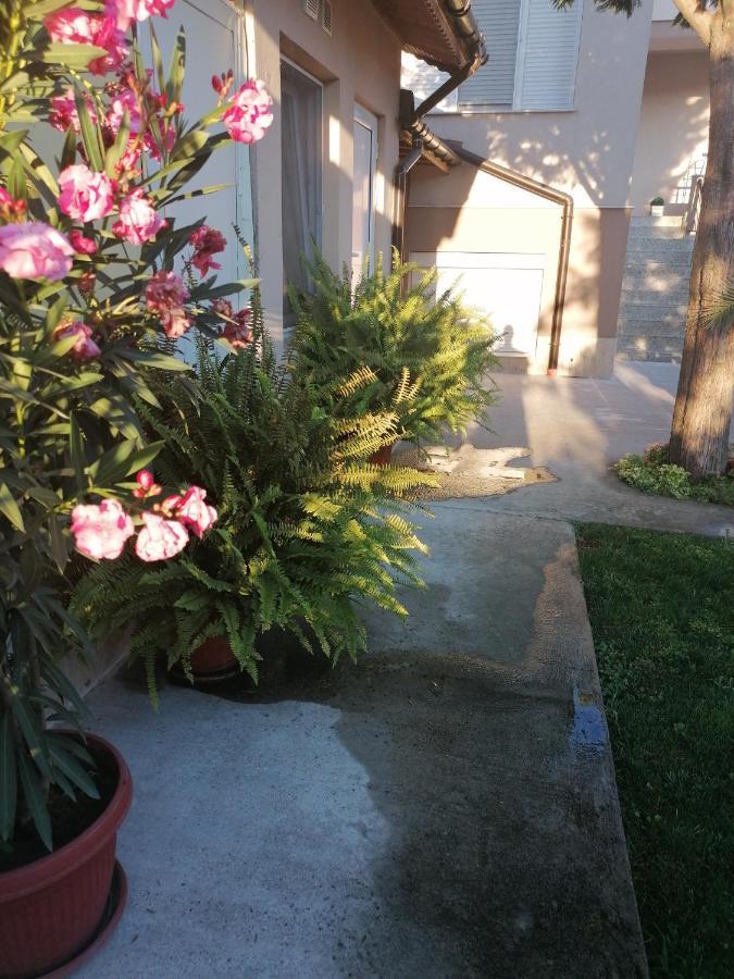 Villa Ros Guest House Svilengrad Bagian luar foto