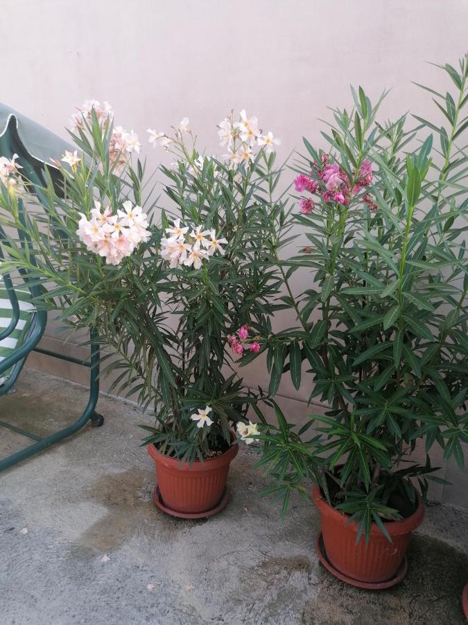 Villa Ros Guest House Svilengrad Bagian luar foto