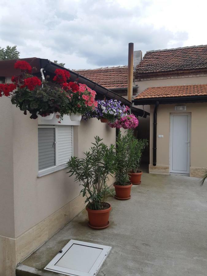 Villa Ros Guest House Svilengrad Bagian luar foto