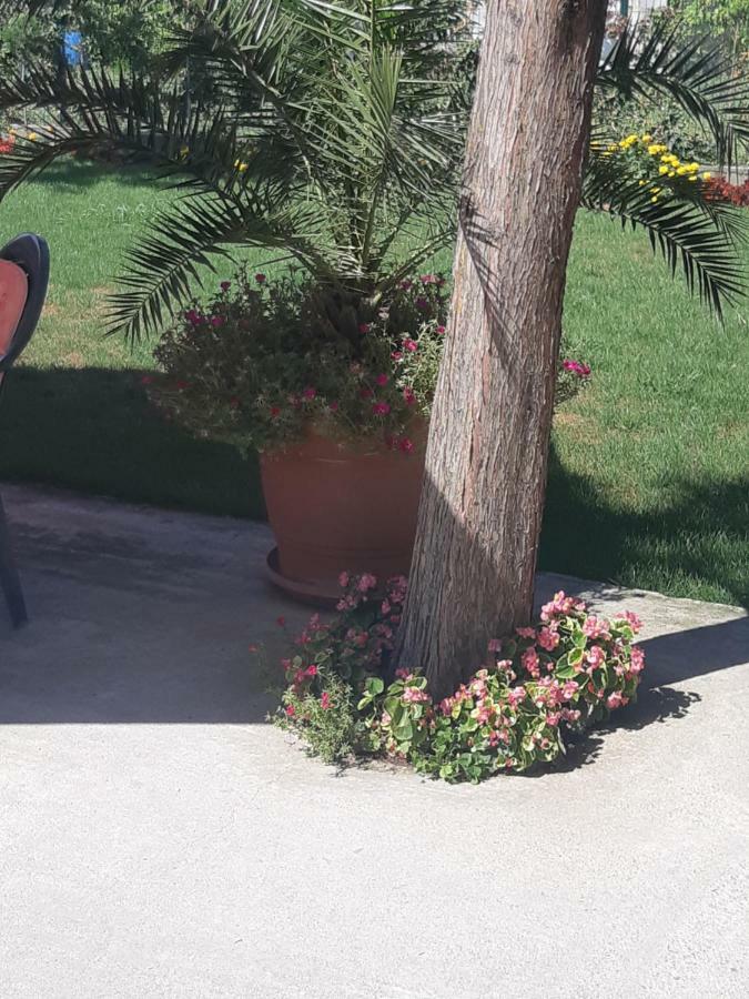 Villa Ros Guest House Svilengrad Bagian luar foto