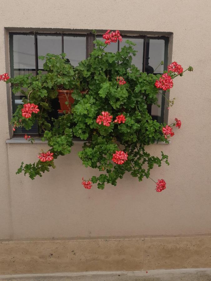 Villa Ros Guest House Svilengrad Bagian luar foto
