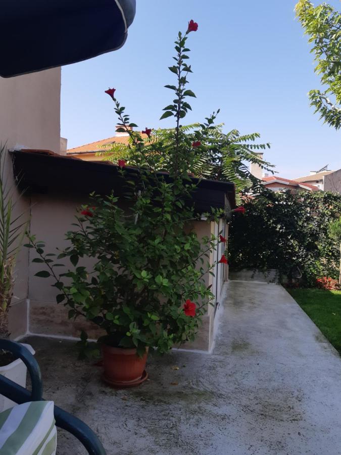Villa Ros Guest House Svilengrad Bagian luar foto
